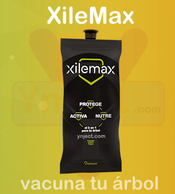 XileMax Ynject de fertinyect como vacuna contra hongos y bacterias del árbol por endoterapia